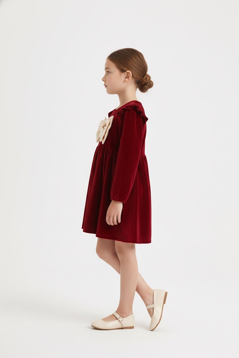Maroon Velvet Frock With Buterfly