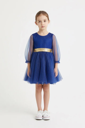 Royal Blue Frill Frock With Net Stuff