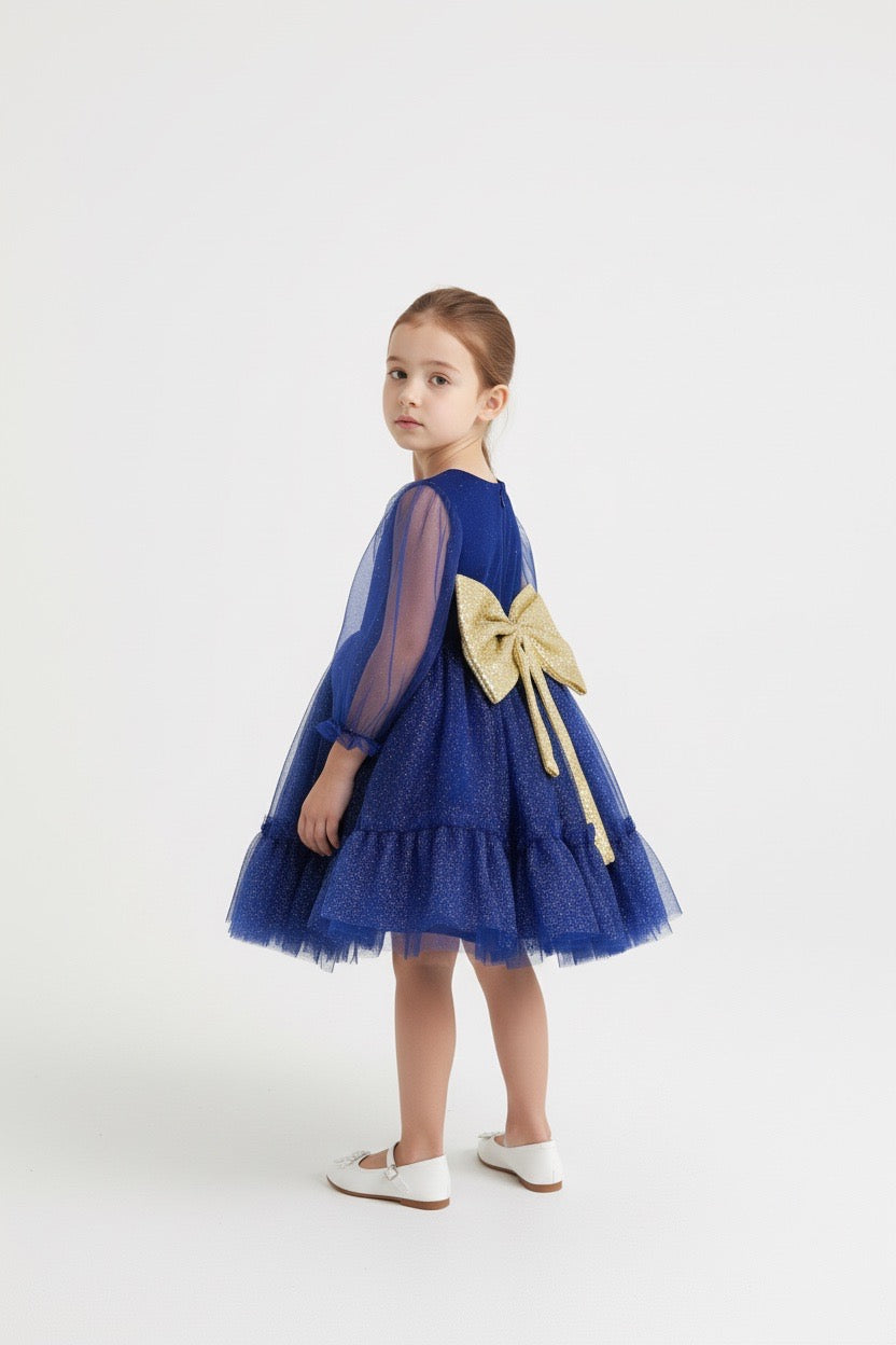 Royal Blue Frill Frock With Net Stuff